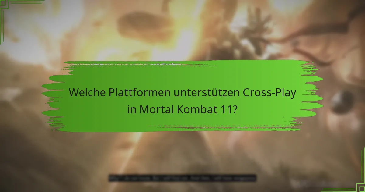 Welche Plattformen unterstützen Cross-Play in Mortal Kombat 11?