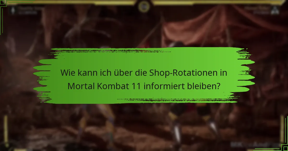 Welche Arten von Artikeln sind im Mortal Kombat 11-Shop verfügbar?